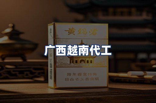 广西越南代工